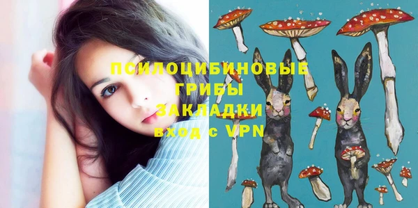первитин Верхний Тагил