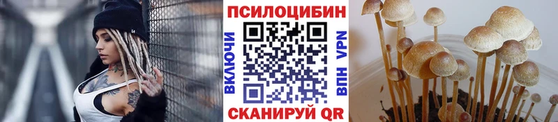 где купить   Кирово-Чепецк  Псилоцибиновые грибы ЛСД 