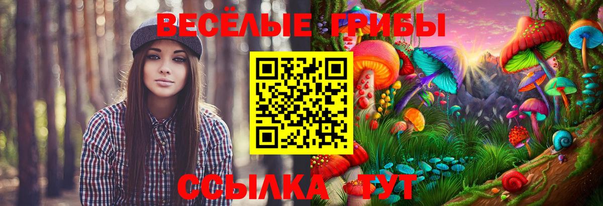 Кирово-Чепецк  Галлюциногенные грибы мухоморы  Вход с VPN  Галлюциногенные грибы Psilocybine cubensis 